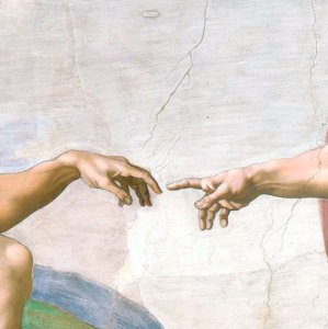 Le toucher, un sens indispensable ! Le toucher, un sens indispensable !