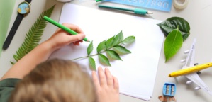 Voici les avantages d'être gaucher Voici les avantages d'être gaucher