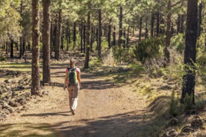 7000 ou 10000 : Combien faut-il faire de pas par jour ? 7000 ou 10000 : Combien faut-il faire de pas par jour ?