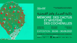 "Mémoire des Cactus et Mystère des Cochenilles" "Mémoire des Cactus et Mystère des Cochenilles"