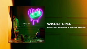 « Wouli Liya », le nouveau single de Dadju « Wouli Liya », le nouveau single de Dadju