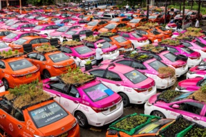 Bangkok : Des taxis font pousser des légumes sur leur toit Bangkok : Des taxis font pousser des légumes sur leur toit