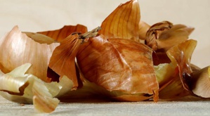 Les épluchures d'oignons : en quoi peuvent-elles nous servir ? Les épluchures d'oignons : en quoi peuvent-elles nous servir ?