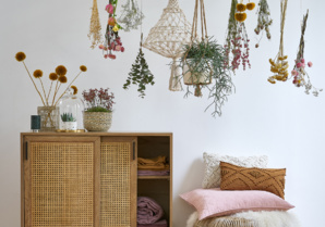 Sommeil : 5 plantes pour mieux dormir Sommeil : 5 plantes pour mieux dormir