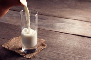 Boire du lait le soir favorise le sommeil : idée reçue ou réalité ? Boire du lait le soir favorise le sommeil : idée reçue ou réalité ?