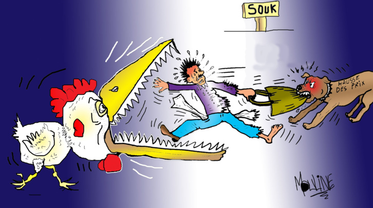 Flambée vertigineuse du prix du poulet… Le poulet prend des ailes !!! Flambée vertigineuse du prix du poulet… Le poulet prend des ailes !!!