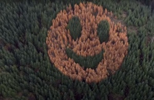 Un smiley géant apparait dans une forêt de l'Oregon Un smiley géant apparait dans une forêt de l'Oregon