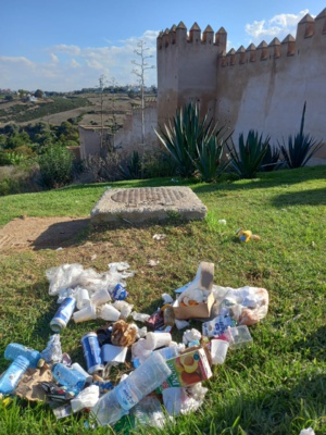La nécropole du Chellah, entre manque d’entretien et incivisme des visiteurs La nécropole du Chellah, entre manque d’entretien et incivisme des visiteurs