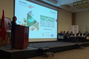 Exportations vers l’Afrique : les défis et les opportunités du secteur agro-alimentaire national Exportations vers l’Afrique : les défis et les opportunités du secteur agro-alimentaire national