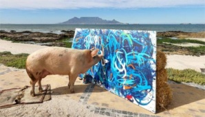 Le tableau du cochon Pigcasso a été vendu à 23 500 €