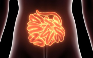 Infarctus digestif : quels sont les symptômes ? Infarctus digestif : quels sont les symptômes ?