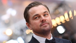 Leonardo DiCaprio : un arbre tropical baptisé à son nom Leonardo DiCaprio : un arbre tropical baptisé à son nom
