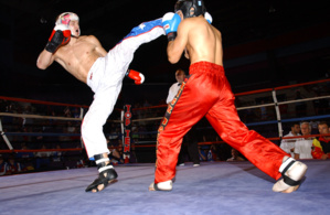 Full Contact : Fès abritera la compétition de la Coupe du Trône Full Contact : Fès abritera la compétition de la Coupe du Trône