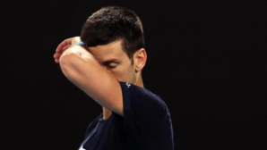 Djokovic expulsé d'Australie : Quelles sont les conséquences pour sa carrière? Djokovic expulsé d'Australie : Quelles sont les conséquences pour sa carrière?