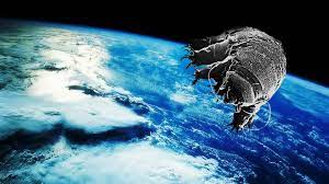 Science: Voyage interstellaire pour des tardigrades