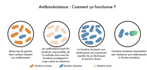 La résistance aux antibiotiques tue de plus en plus La résistance aux antibiotiques tue de plus en plus