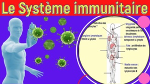 Infection et vaccination : peut-on parler d’immunité identique ? Infection et vaccination : peut-on parler d’immunité identique ?