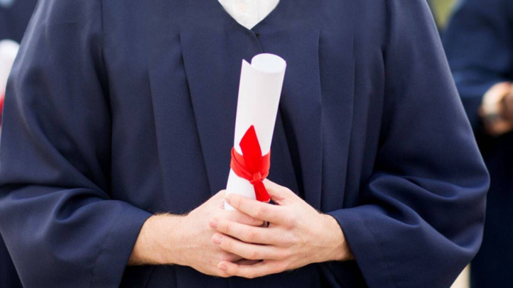 En 2021, plus de la moitié des actifs occupés n'ont aucun diplôme En 2021, plus de la moitié des actifs occupés n'ont aucun diplôme