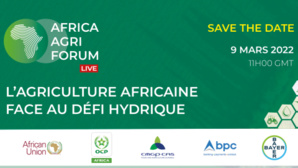 Webinaire : l'agriculture africaine face au défi hydrique