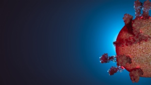 Le nouveau Omicron BA.2 : symptômes, contagion Le nouveau Omicron BA.2 : symptômes, contagion