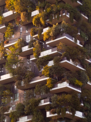 Photo by alex mihu on Unsplash Photo by alex mihu on Unsplash