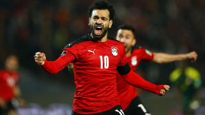 Mondial 2022 : Salah, Ibra, Haaland ou Mahrez, des absents de marque Mondial 2022 : Salah, Ibra, Haaland ou Mahrez, des absents de marque