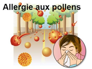 Allergies au pollen : des remèdes naturels existent