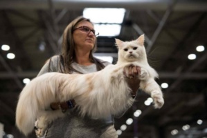 Guerre d'Ukraine : sanctions, le ridicule ne tue pas Guerre d'Ukraine : sanctions, le ridicule ne tue pas