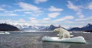 La banquise antarctique touchée par une fonte inhabituelle La banquise antarctique touchée par une fonte inhabituelle