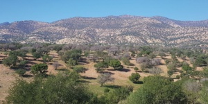 Le PIB agricole enregistrerait une baisse tournant autour de 14 % Le PIB agricole enregistrerait une baisse tournant autour de 14 %