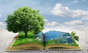 Education à l'environnement : pari du futur Education à l'environnement : pari du futur