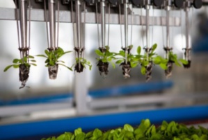 L’écosystème israélien de l’agri-tech et de la food-tech à Casablanca L’écosystème israélien de l’agri-tech et de la food-tech à Casablanca