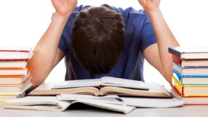 Peut-on lutter contre l’échec scolaire ? Peut-on lutter contre l’échec scolaire ?