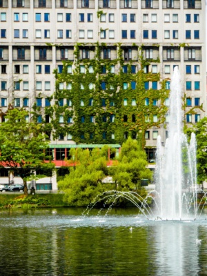 Photo by Antoine Petitteville on Unsplash Photo by Antoine Petitteville on Unsplash