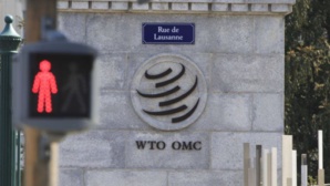 A sa douzième Conférence ministérielle, l'OMC aboutit à l’“ensemble de résultats de Genève” A sa douzième Conférence ministérielle, l'OMC aboutit à l’“ensemble de résultats de Genève”