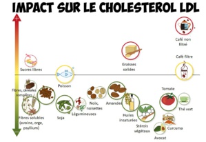 L'avocat contre le cholestérol L'avocat contre le cholestérol