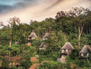 Ecolodge : le futur du tourisme Ecolodge : le futur du tourisme