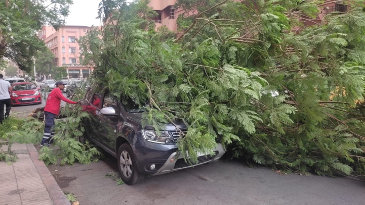 Violente tempête de vent s'abat sur Marrakech Violente tempête de vent s'abat sur Marrakech