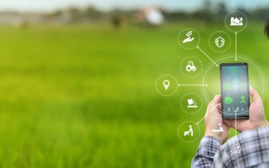 La transformation digitale du secteur de l'agriculture La transformation digitale du secteur de l'agriculture
