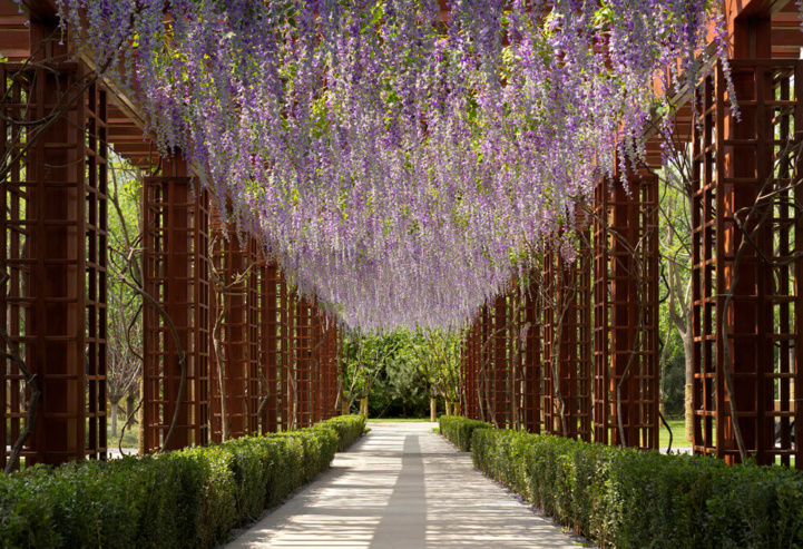Le parc résidentiel MAHA de Pékin Le parc résidentiel MAHA de Pékin