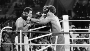 Boxe : Une ceinture de Mohamed Ali achetée 6,18 millions de dollars
