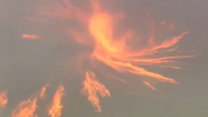 En Californie, une « tornade de feu » se forme près de Los Angeles En Californie, une « tornade de feu » se forme près de Los Angeles
