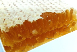 Des ruches en mal d’abeilles à Benslimane