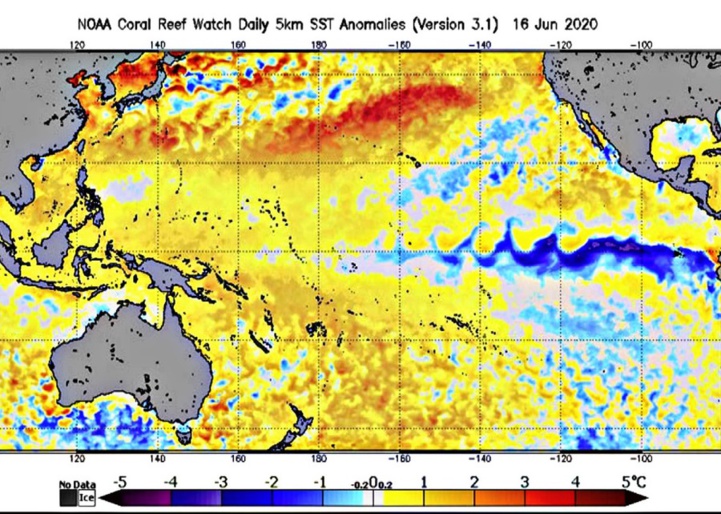 Météorologie : L’ONU prévoit un épisode La Niña d’une durée sans précédent Météorologie : L’ONU prévoit un épisode La Niña d’une durée sans précédent