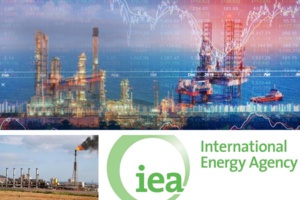 L'avenir du marché du gaz naturel en Afrique L'avenir du marché du gaz naturel en Afrique