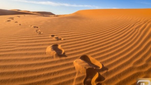 Perdus dans le désert du Sahara