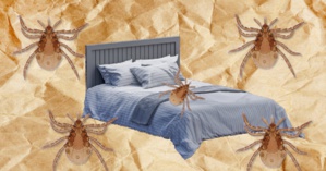 Ne pas faire son lit, le nouveau geste santé ? Ne pas faire son lit, le nouveau geste santé ?