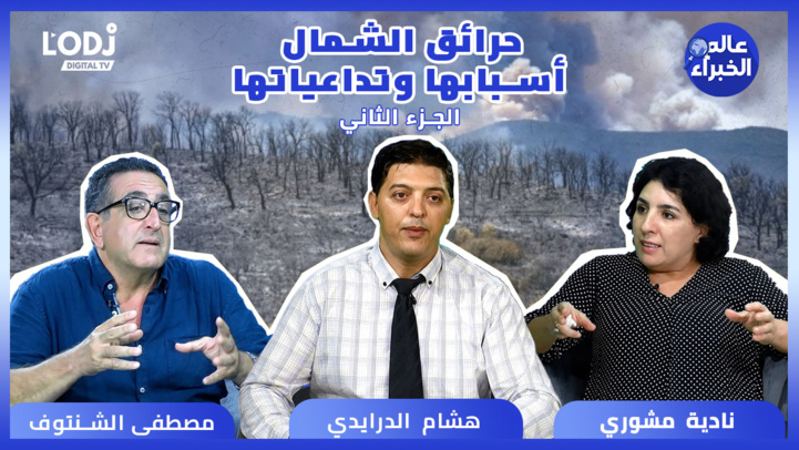 الجزء الثاني لبرنامج عالم الخبراء : حرائق الشمال، أسبابها وتداعياتها الجزء الثاني لبرنامج عالم الخبراء : حرائق الشمال، أسبابها وتداعياتها