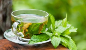 Trois tasses de thé vert par jour pour réduire le risque de diabète