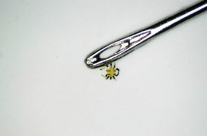 Le robot crabe, pas plus gros que le chas d'une aiguille. Le robot crabe, pas plus gros que le chas d'une aiguille.